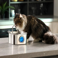 Fontaine à Eau Inox 3,2L pour Chien et Chat – Distributeur Automatique
